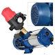 3.3hp Centrifugal Electric Water Pump Pool Garden Home Heavy Duty Pump 220v New