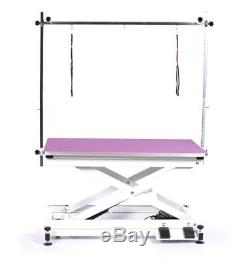 Pedigroom professional electric dog pet grooming table with H frame bar purple