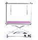 Pedigroom Professional Electric Dog Pet Grooming Table With H Frame Bar Purple
