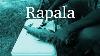 Rapala Heavy Duty Electric Fillet Knife