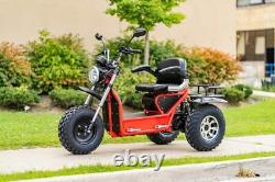 Scooterpac Invader Electric Mobility Scooter 16mph, All Terrain, Off Road