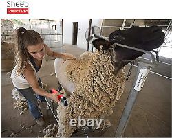 Sheep Shears Pro 220V UK plug 500W Professional Heavy Duty Electric Shearing 6