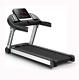 Treadmill Folding Home Gym Heavy Duty Machine 1.5 Hp Dc Motor With Grass Belt