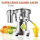 Wf-a3000 Commercial Juice Extractor Stainless Steel Juicer-heavy Duty Good Item